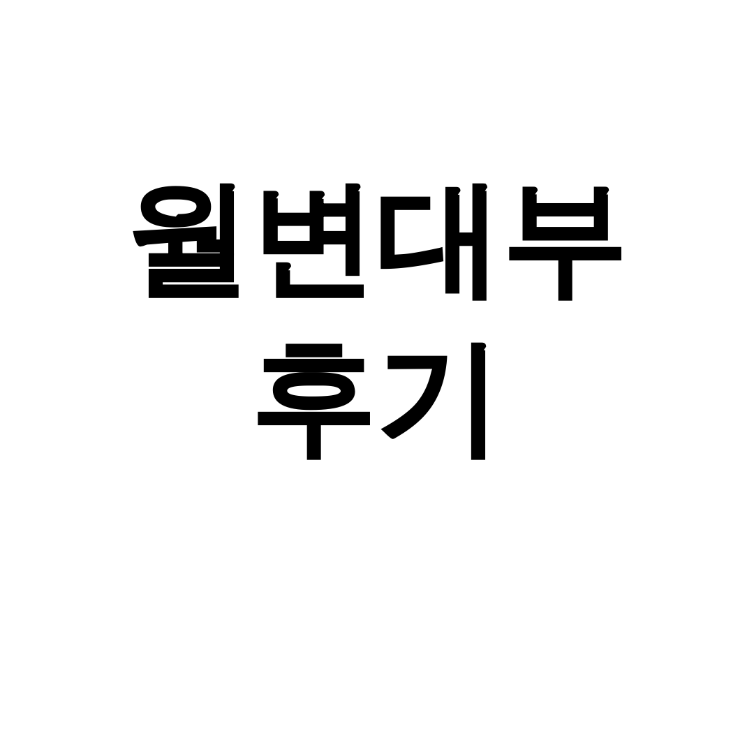 월변대부 후기 | 시청월변부터 대출나라까지 직접 써보고 알려드림!