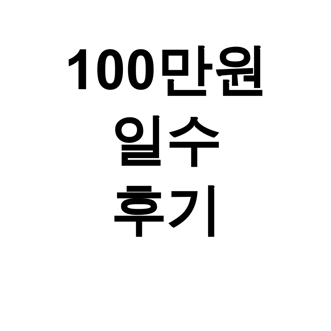 100만원 일수 후기ㅣ300만원까지 가능한 일수대출 이자 계산 총정리