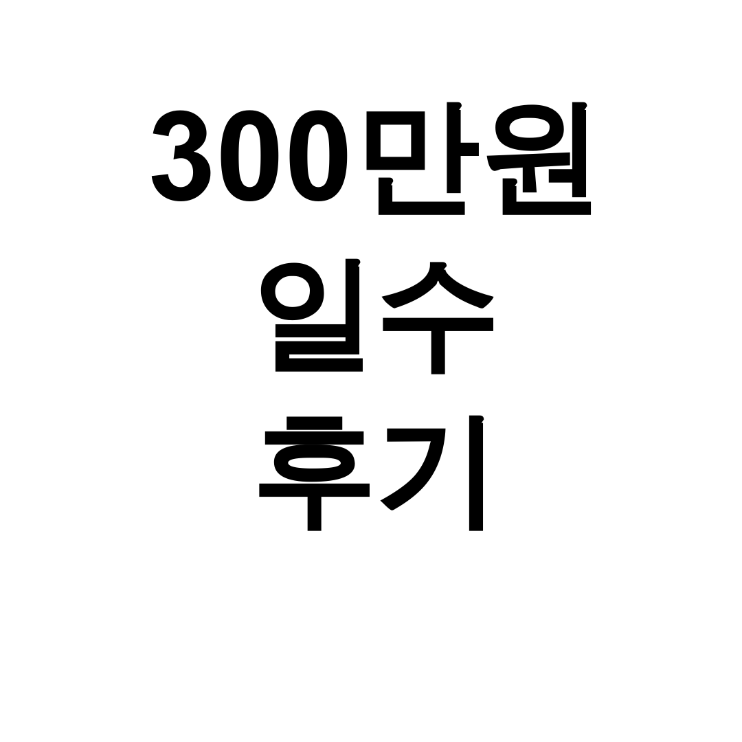 300만원 일수 후기ㅣ100만원부터 500만원까지 실제 명함대출 총정리