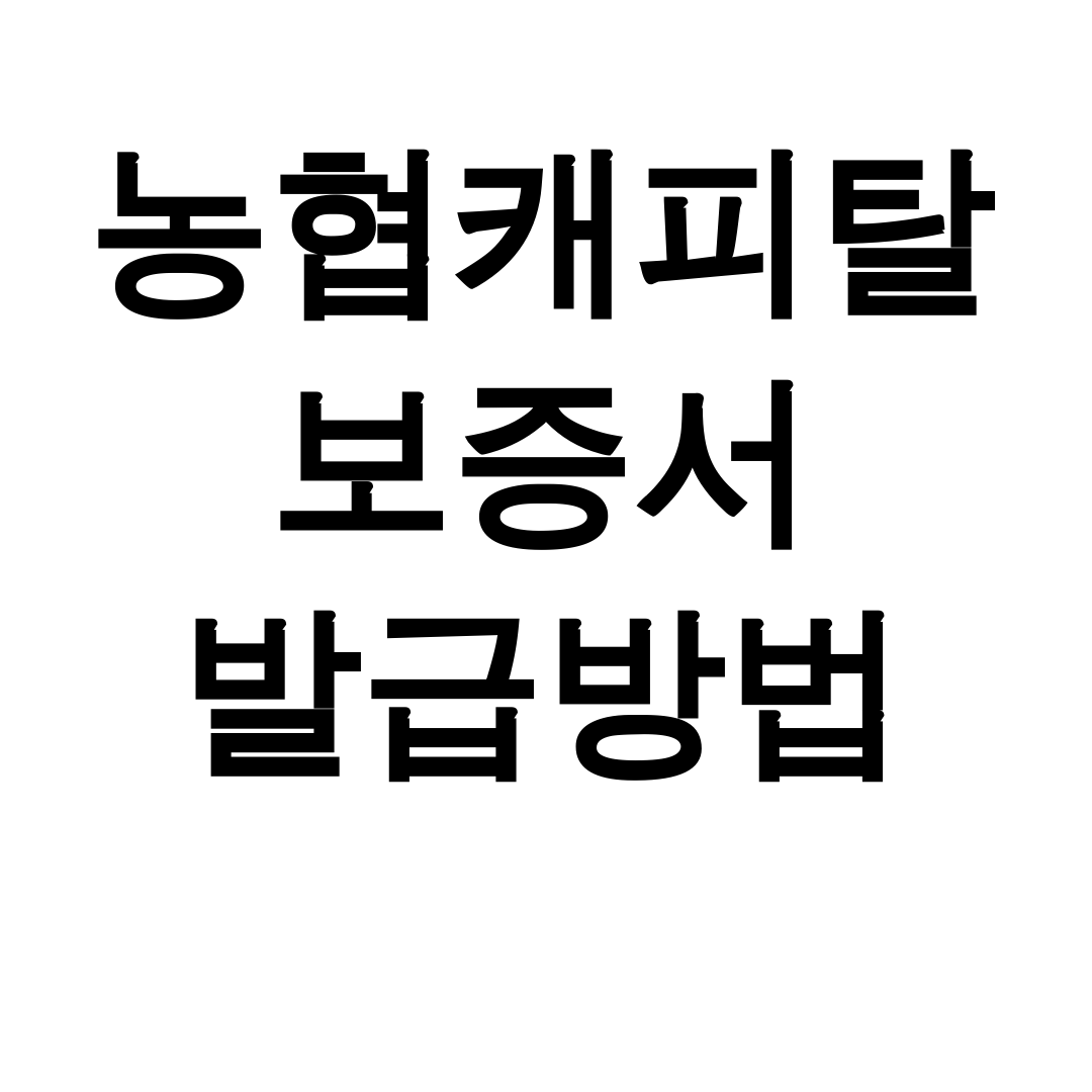 농협캐피탈 보증서 발급방법 NH모바일대출 한방에 해결! 상세후기