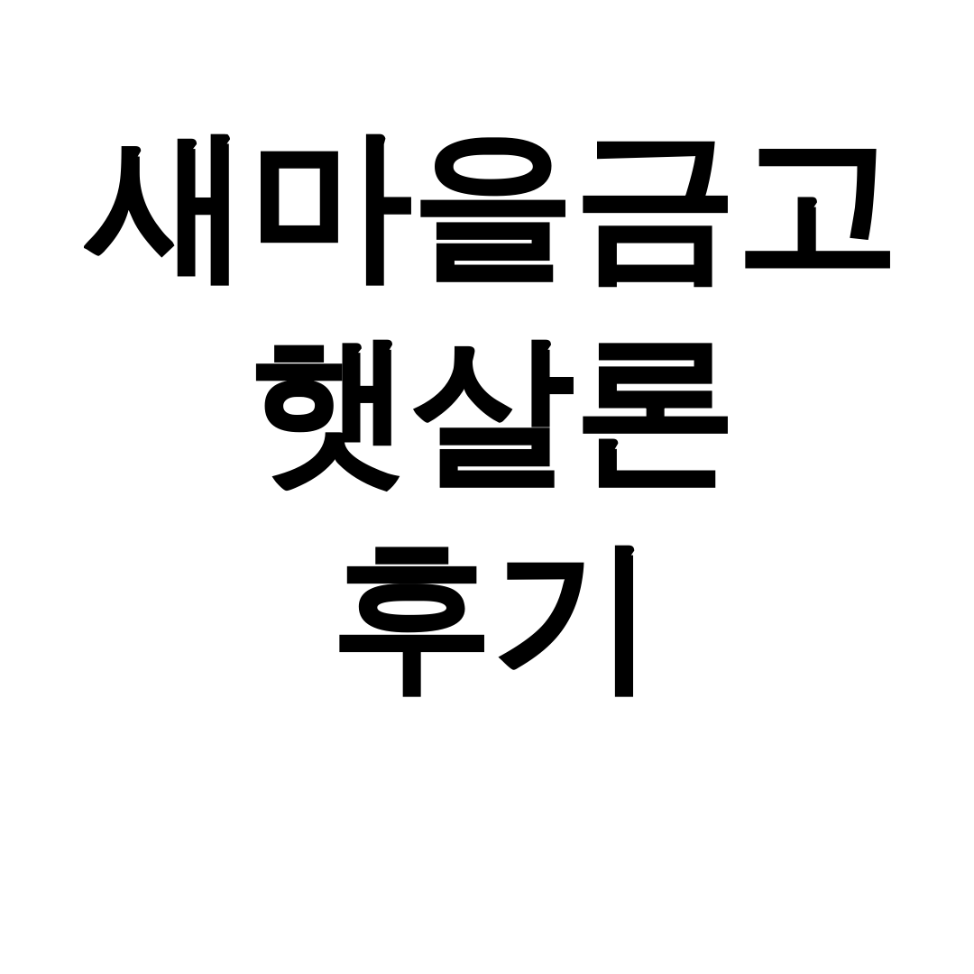 새마을금고 햇살론 후기 신청부터 승인까지 한방에 끝!