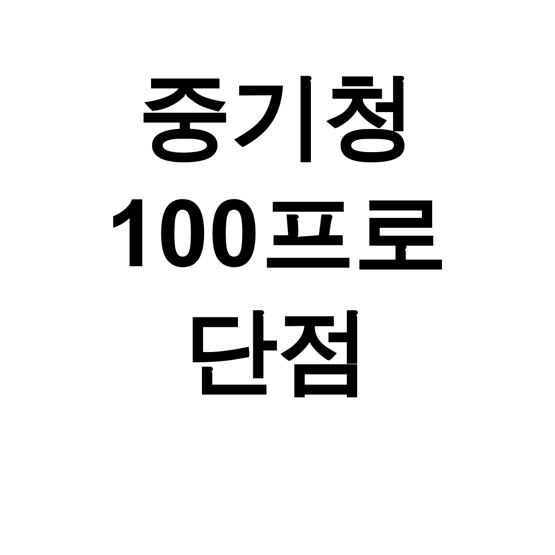 중기청 100프로 단점 깡통전세 거절사유 완벽후기 대공개!