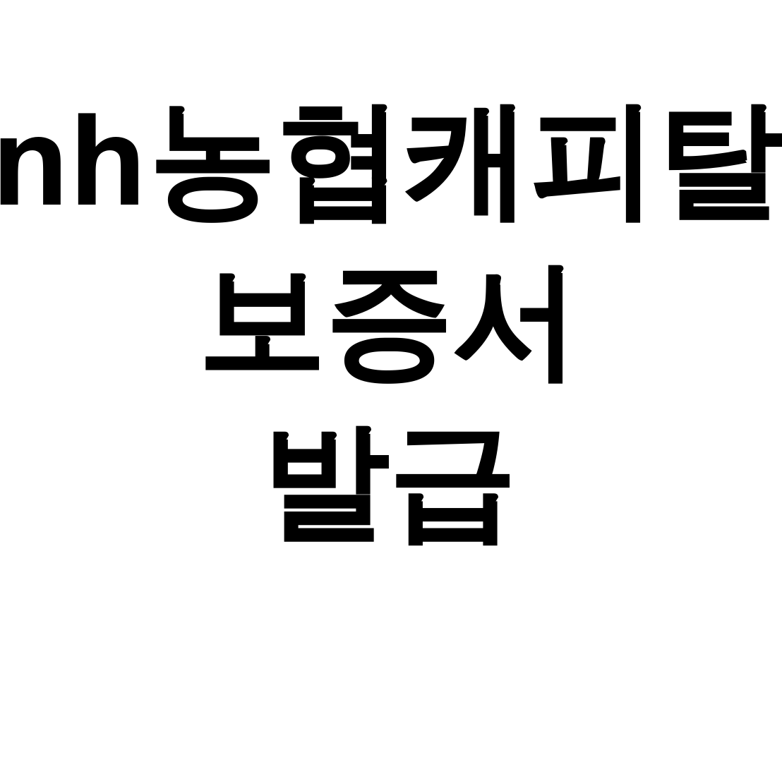 nh농협캐피탈 보증서 발급 신청부터 심사까지 한방에 해결한 후기!