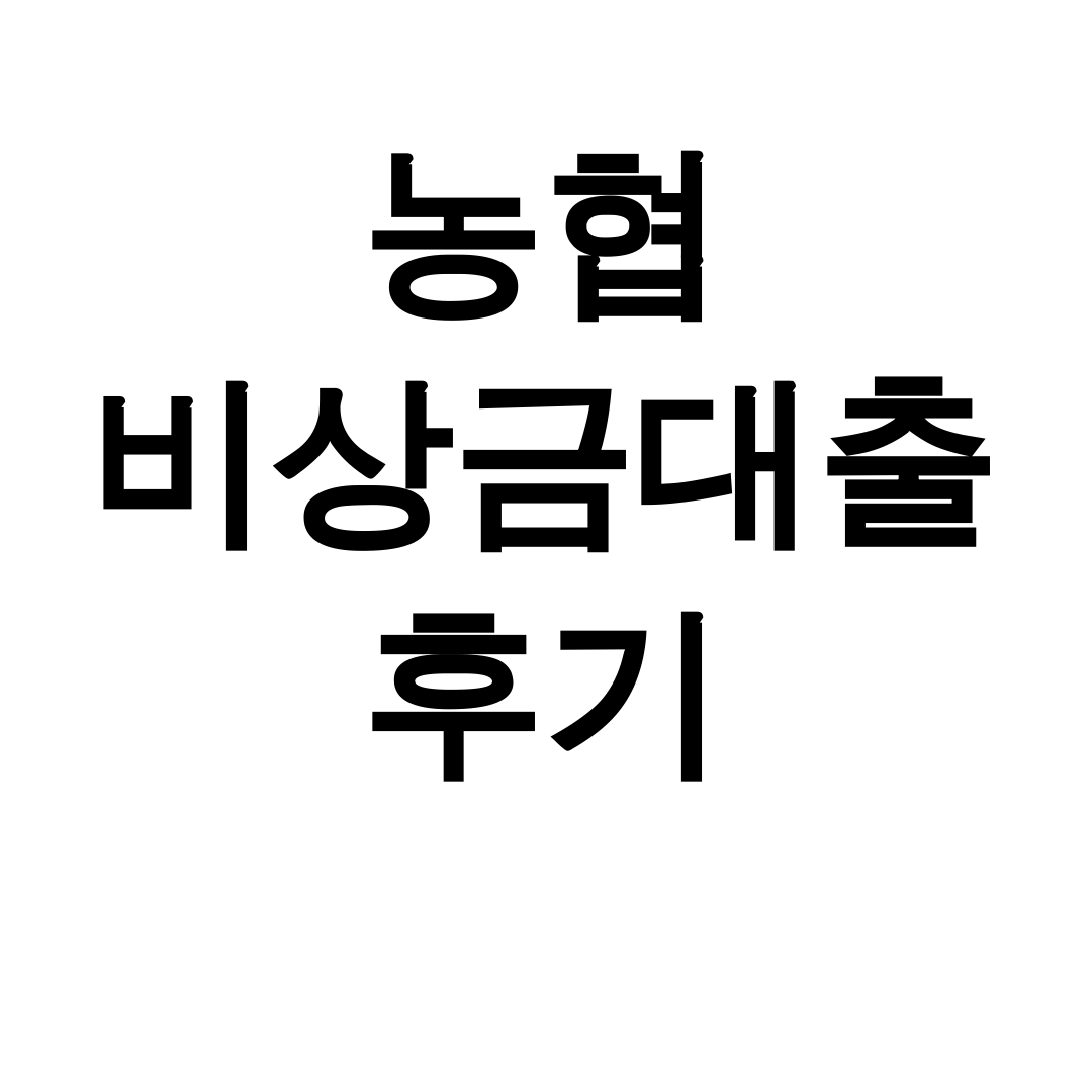 농협 비상금대출 후기