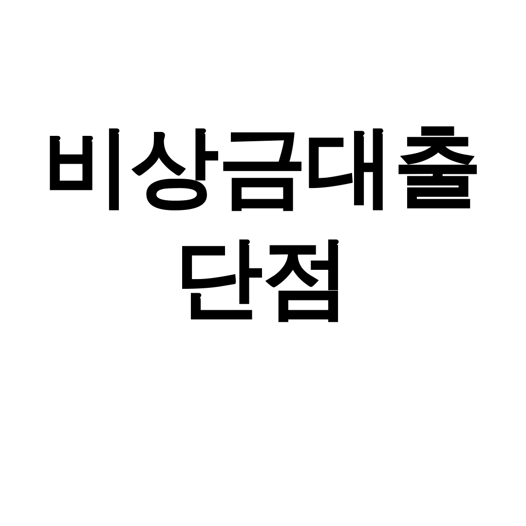 비상금대출 단점