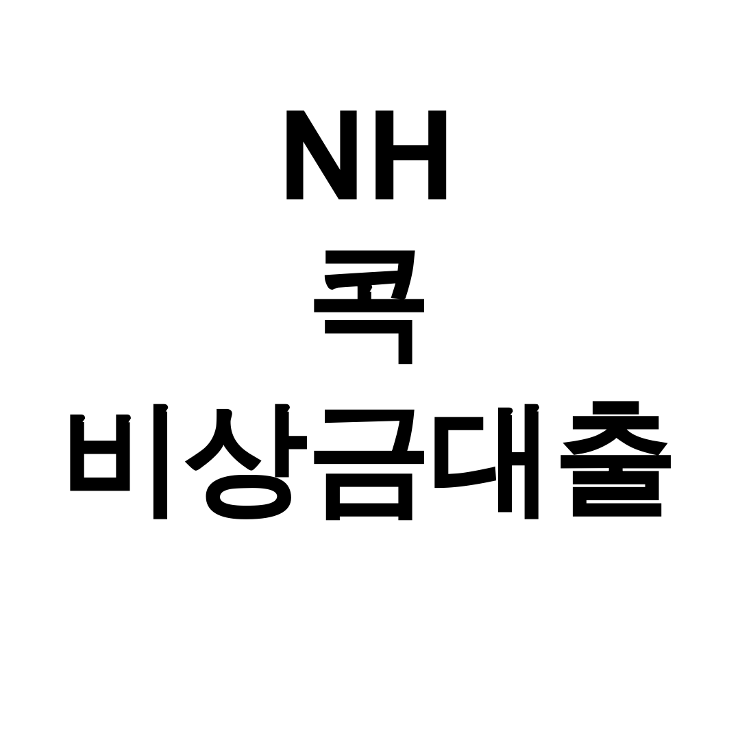 NH 콕 비상금대출