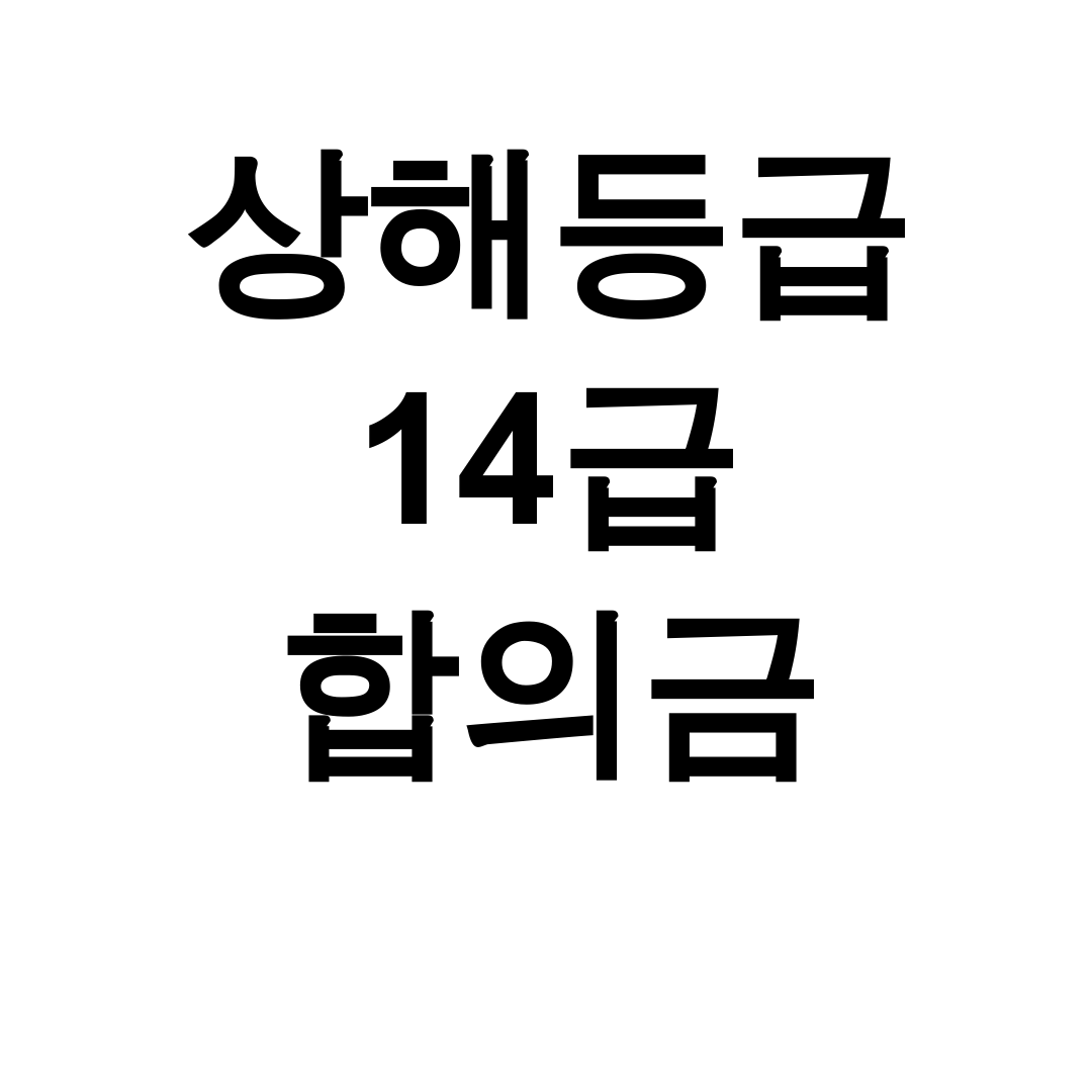 상해등급 14급 합의금