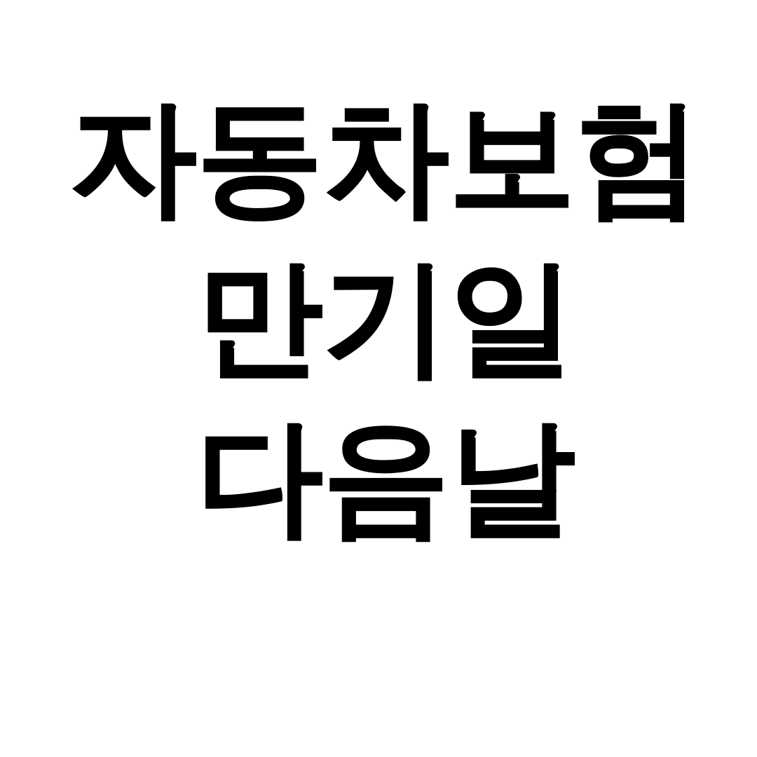자동차보험 만기일 다음날