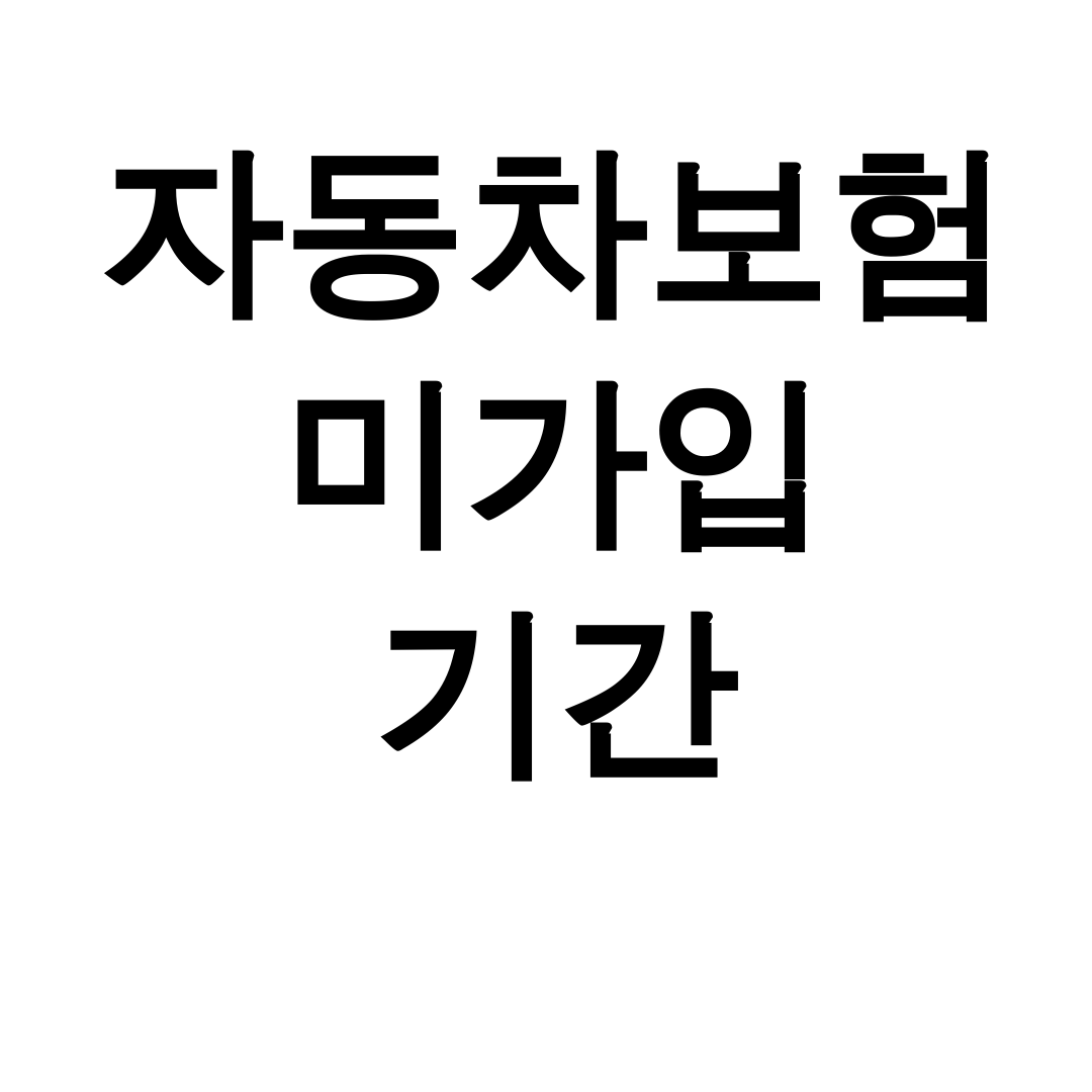 자동차보험 미가입 기간