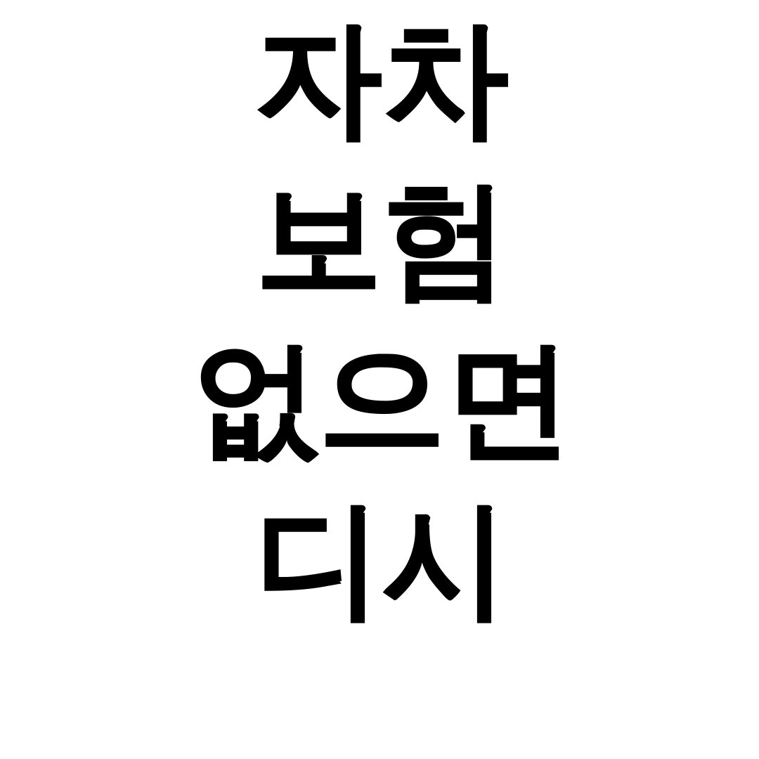 자차 보험 없으면 디시