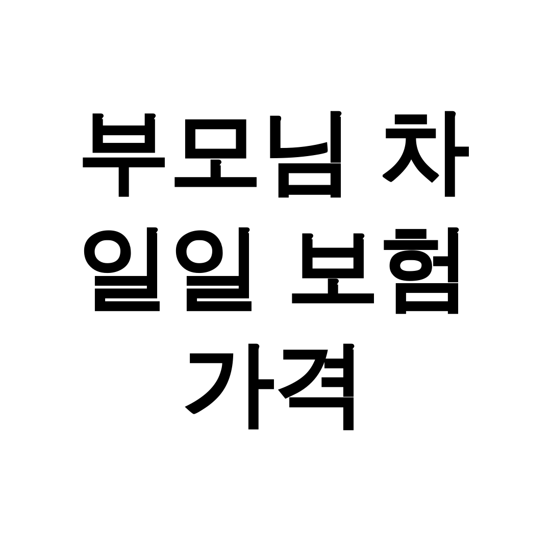 부모님 차 일일 보험 가격